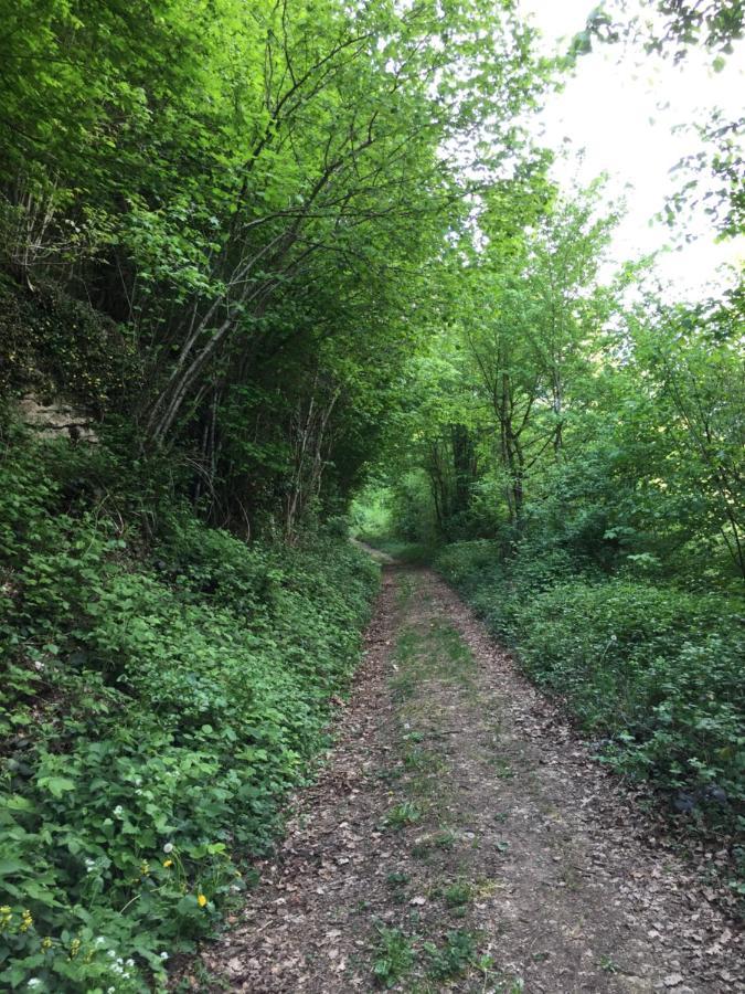 Gite Des Reculees Ladoye-sur-Seille Zewnętrze zdjęcie